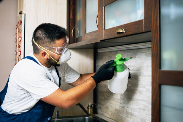 Best Commercial Pest Control Services  in Santa Venetia, CA
