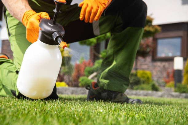Best Flea Control Services  in Santa Venetia, CA