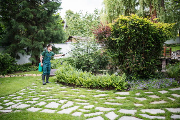 Best Pest Control Near Me in Santa Venetia, CA