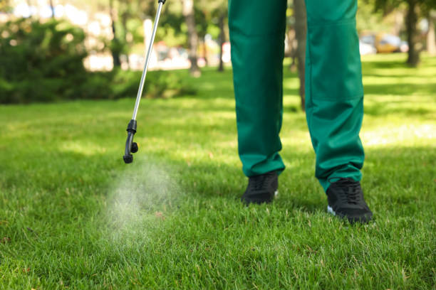 Best Residential Pest Control  in Santa Venetia, CA