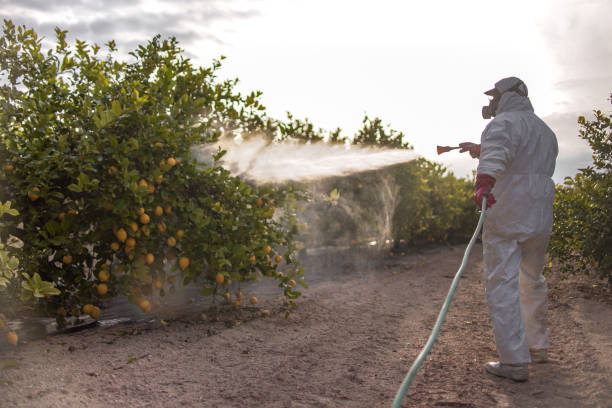  Santa Venetia, CA Pest Control Pros