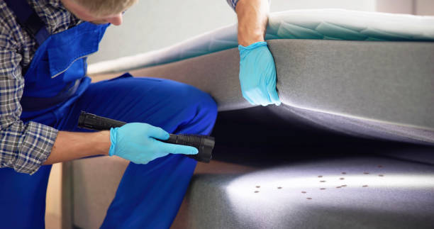 Flea Control Services in Santa Venetia, CA