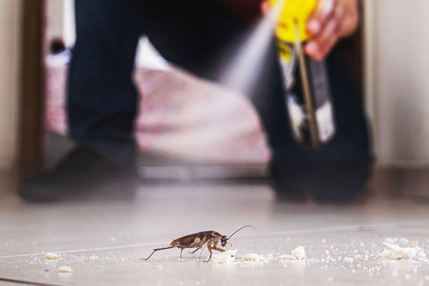 Best Best Pest Control Near Me  in Santa Venetia, CA